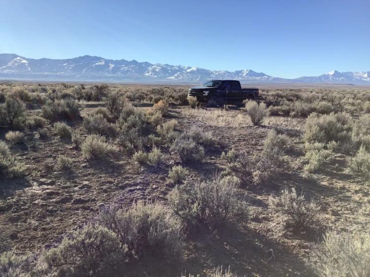 Turn Off Your Computer and GO OUTSIDE - Own 10 Acres 