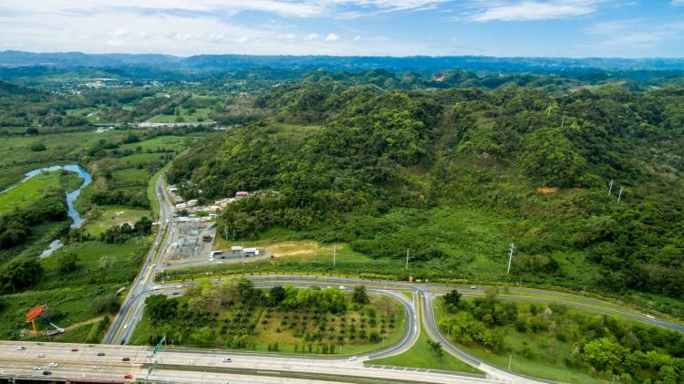 Exceptional Development Potential in Dorado - Finca Santa Rosa