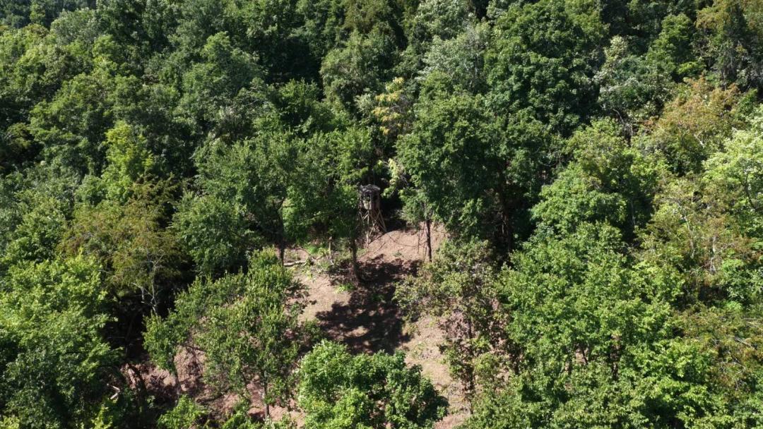 67 Acres of Hardwood Ridge in Wayne Forest Country