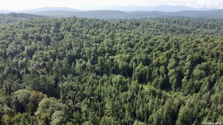 150.00 Acres at  Donaldson Road