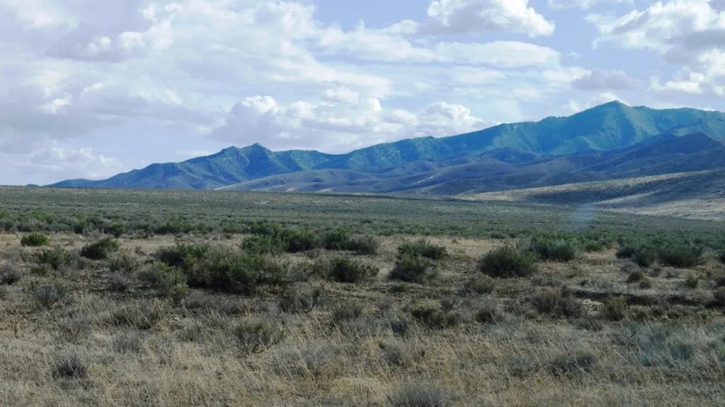Buena Vista Valley *  Nevada Desert  * Remote * Mountain and valley views