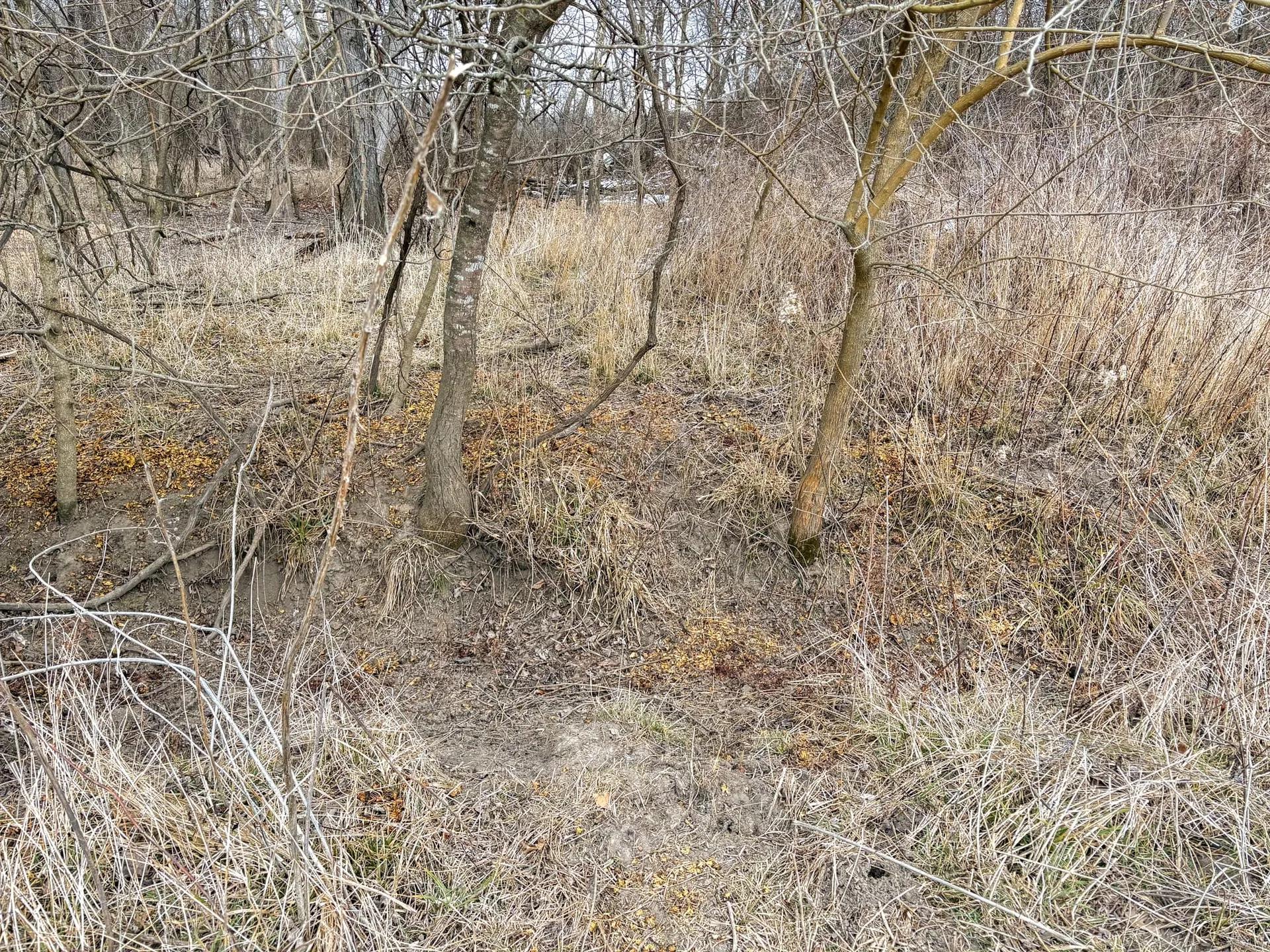 4461634-39