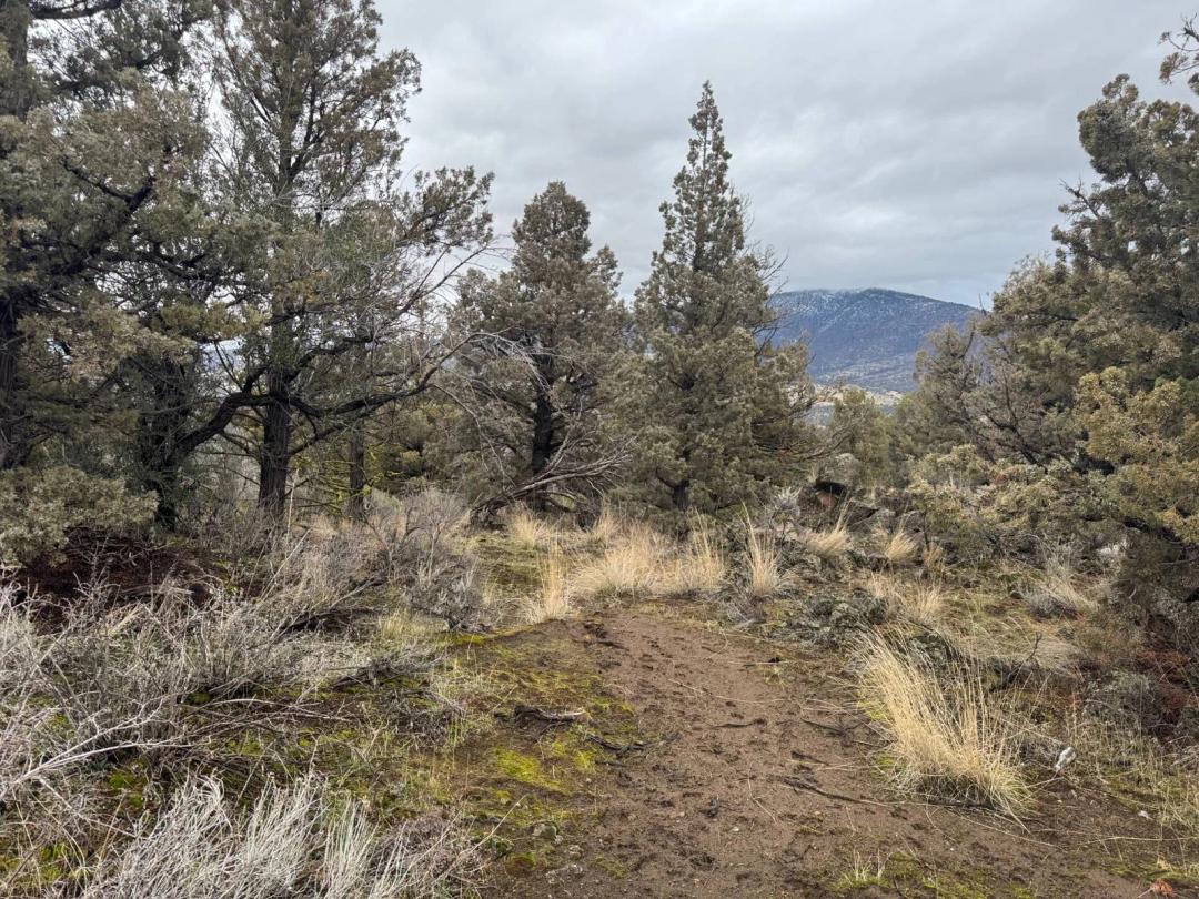 2.60 Acres at Lot 8 Perla Dr