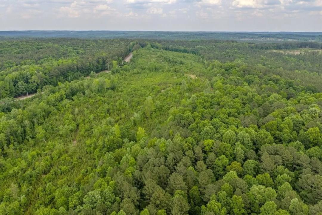 173.23 acres of Recreational and Timberland For Sale in Montgomery County NC!