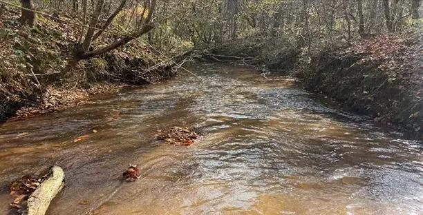 176.5 Acres in Newton County in Little Rock, MS