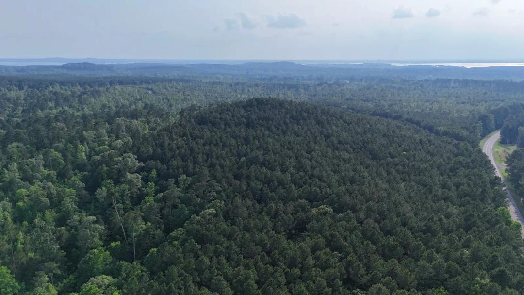 316+/- TOLEDO BEND LAKE AREA ACRES