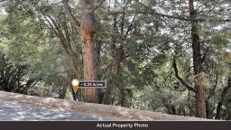 img_PID-9183-Act-Prop-Photo-2