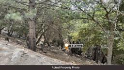 img_PID-9183-Act-Prop-Photo-5