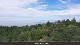 img_PID-9183-Aerial-North-View