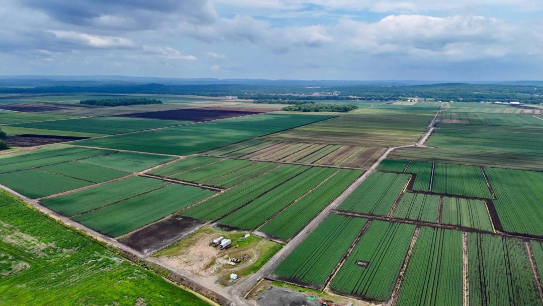 39.1 Acres of Black Dirt Farmland in Orange County