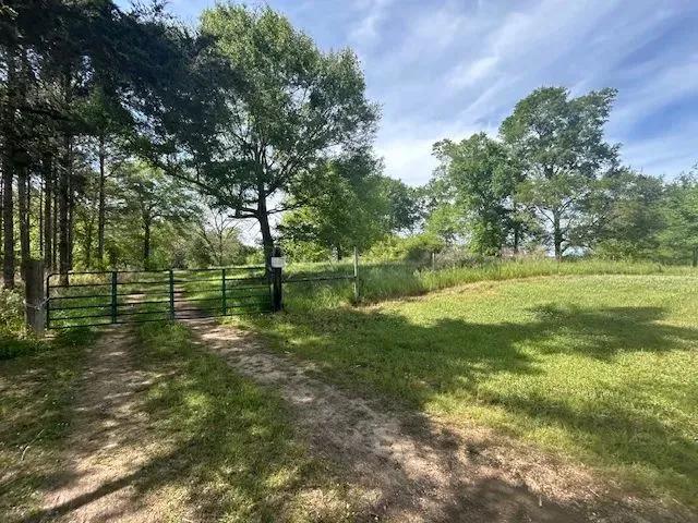 19 Acres | Lawrence County, MS