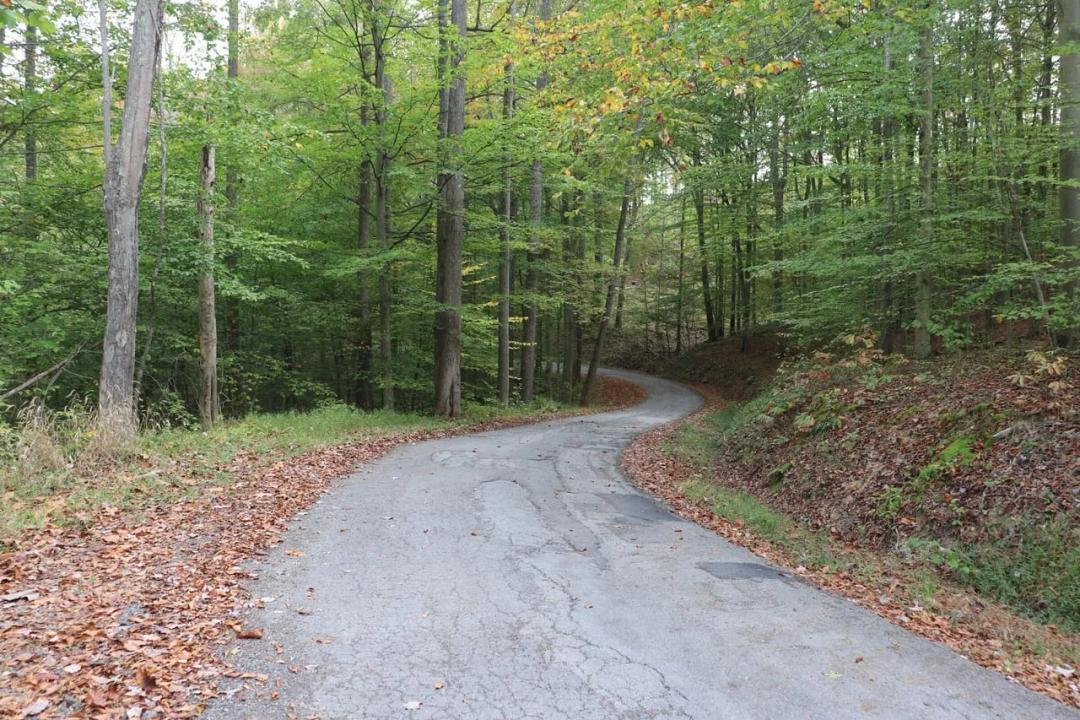 Recreational Tract with Mineral Rights Near Clay