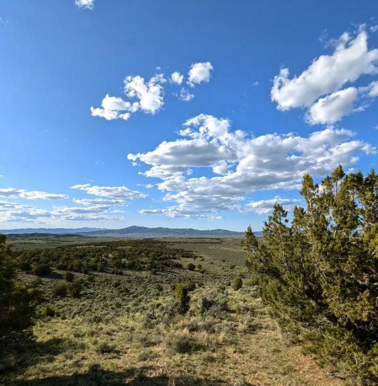 10 Acres of Peace & Open Space with Stunning Mountain Views in Montello, NV!