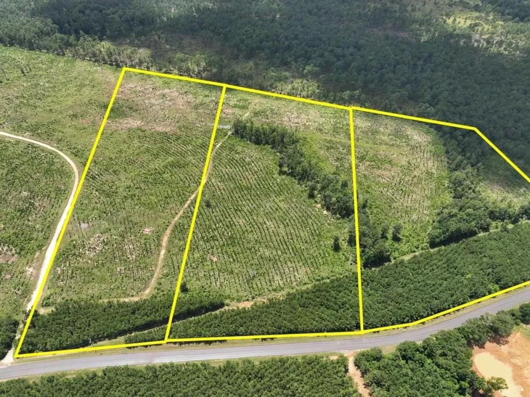 17 Acres | T-3 | FM 1276 | 00011