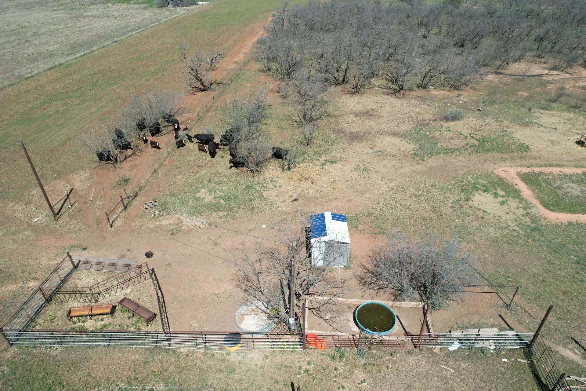 44805274-10