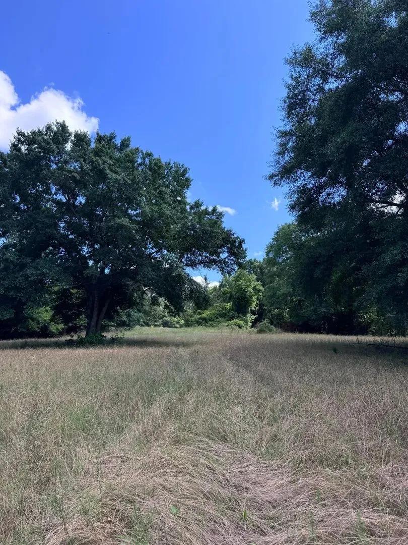 215 +/- Acres Dripping Rock Tract