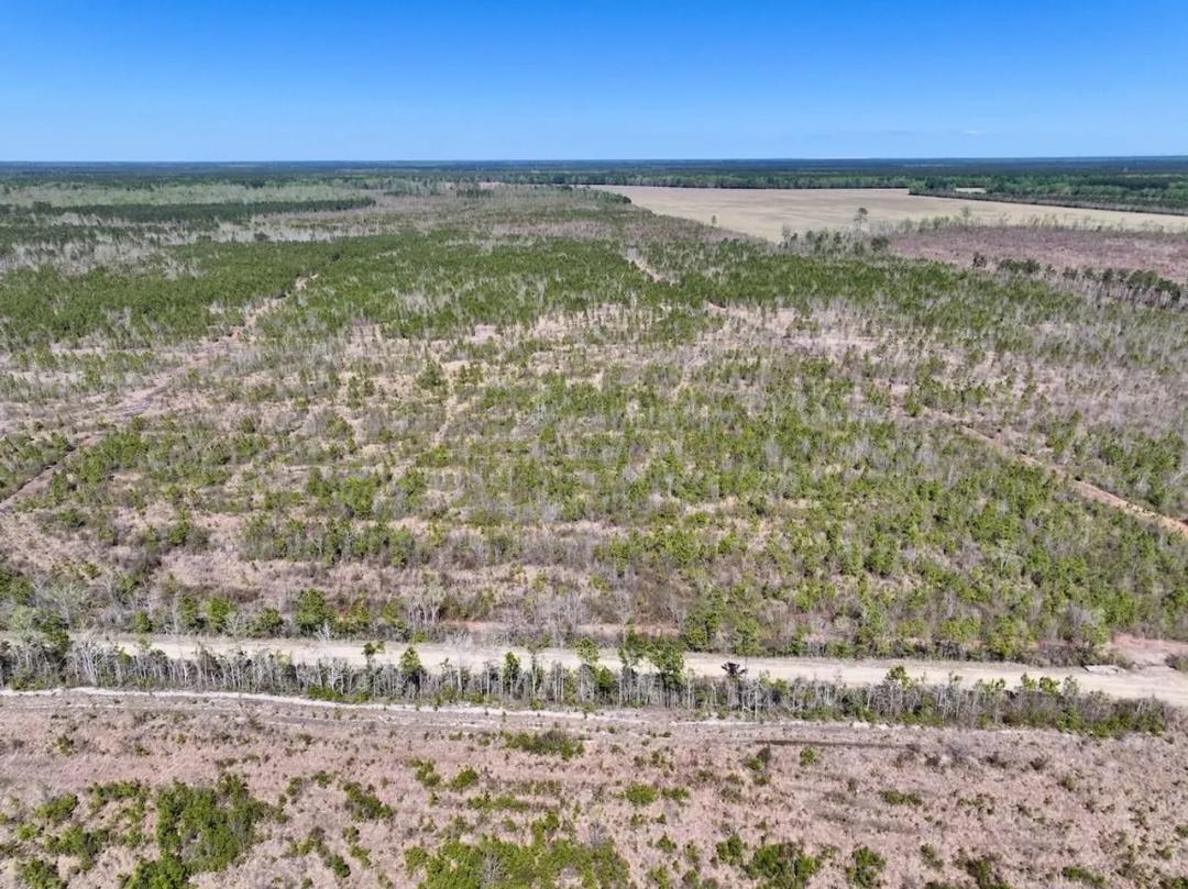 35 acres of Recreational Timberland For Sale in Craven County!