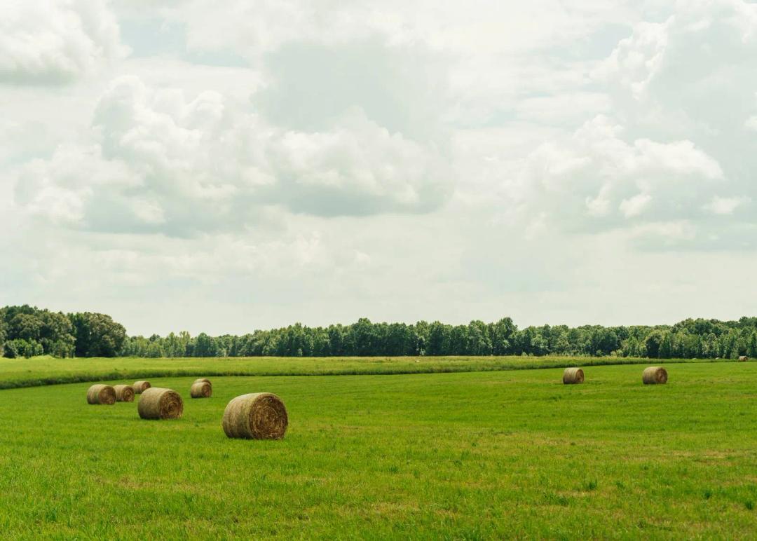 24± Acres in Winston County, Mississippi