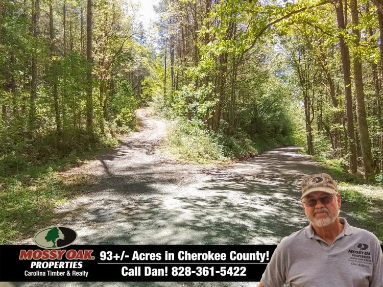 93.2 ac+- Surrounded by USFS with Cell Tower Income