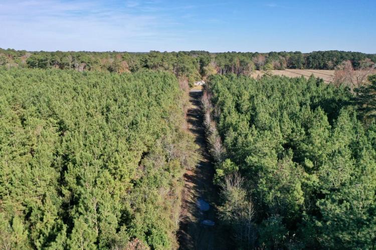171.00 Acres at 0 Hwy 58  S