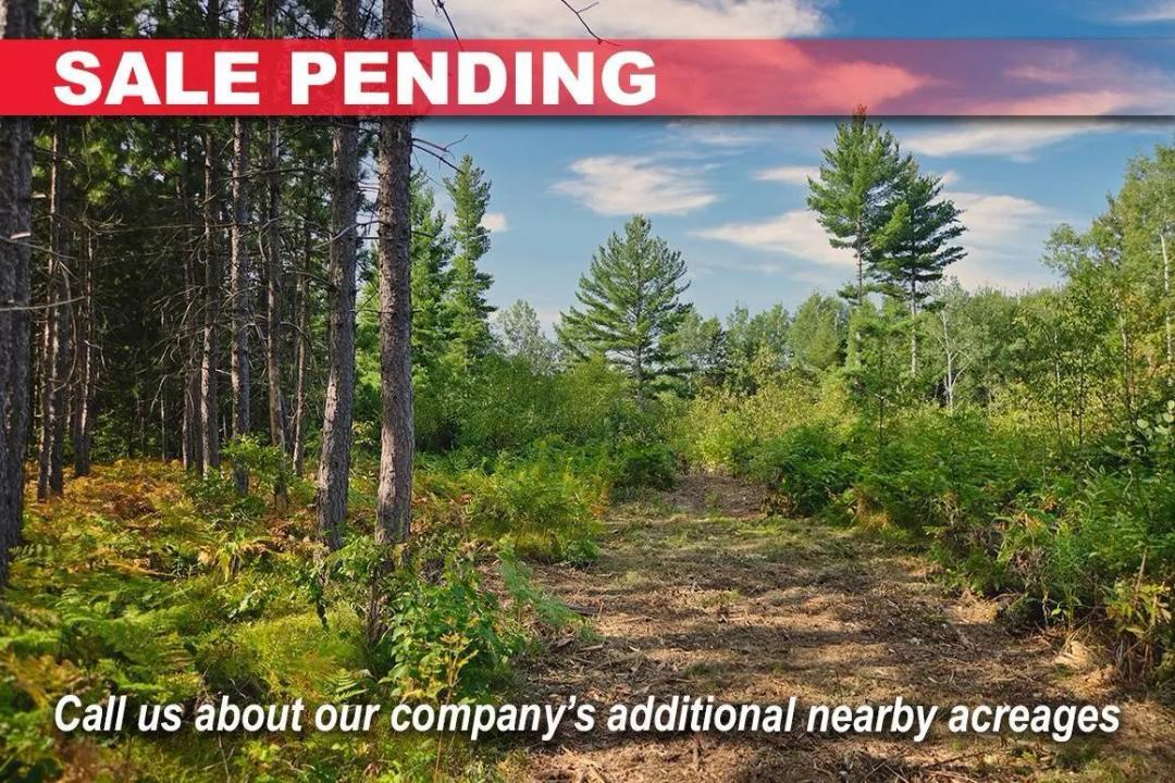 8.4 Wooded Acres Near Tomahawk WI - Only $79,900