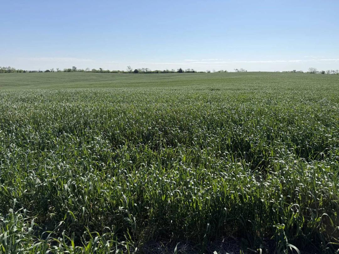 37 ACRES