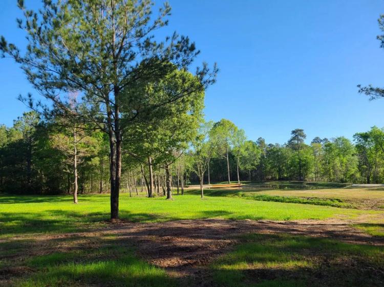 Johnson Reserve