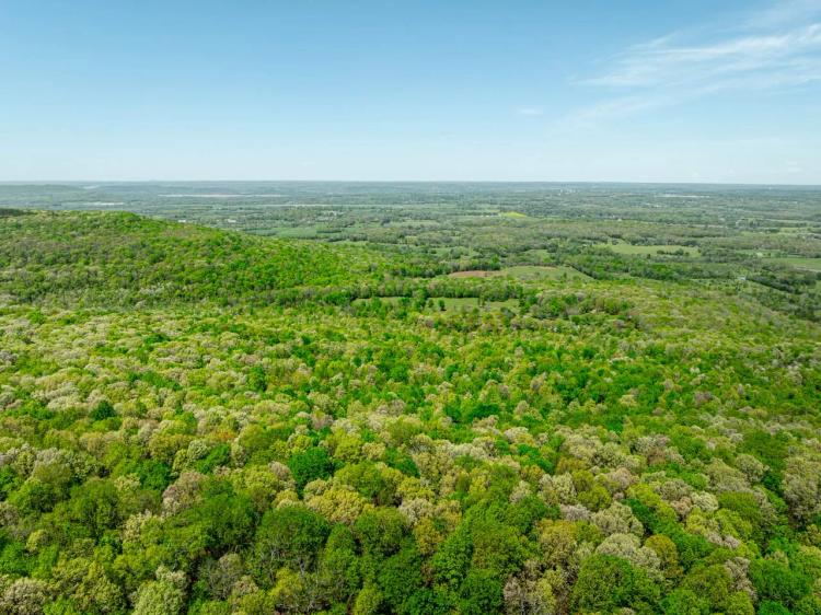 40 +/- Acres, Mature Timber, Pond, CAVES, Rock Climbing, Trail Riding, Independence County, Southside, Arkansas