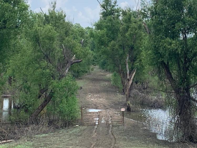198.00 Acres at  Mississippi River Levee