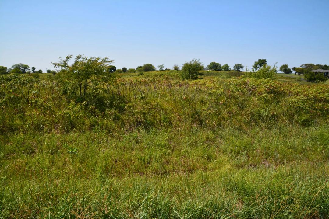 Raeta Estates Lot 13