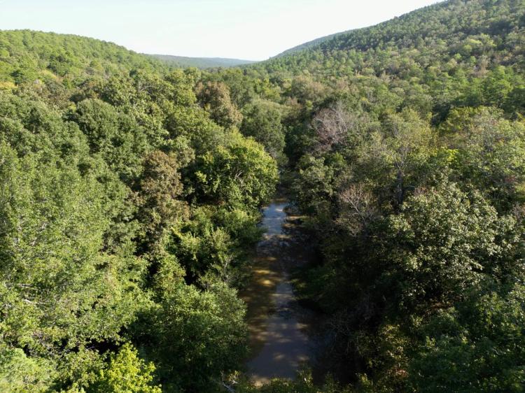 65.00 Acres at 65 Tram Trail