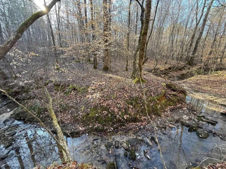 180 +/- ac Liberty Rd