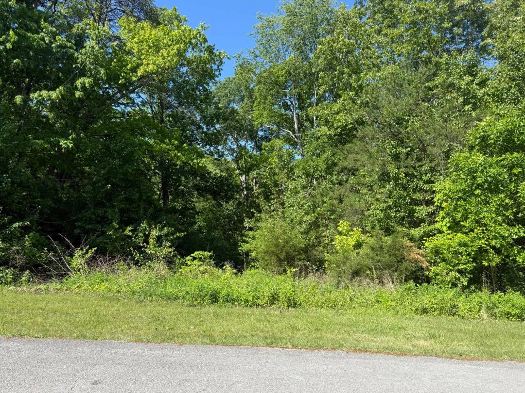 Building Lot with City Utility Access - Liberty Kentucky
