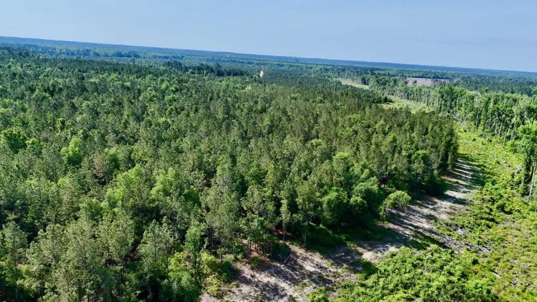 8 +/- Acres in Tillman Cemetery Road, Lumber City, GA