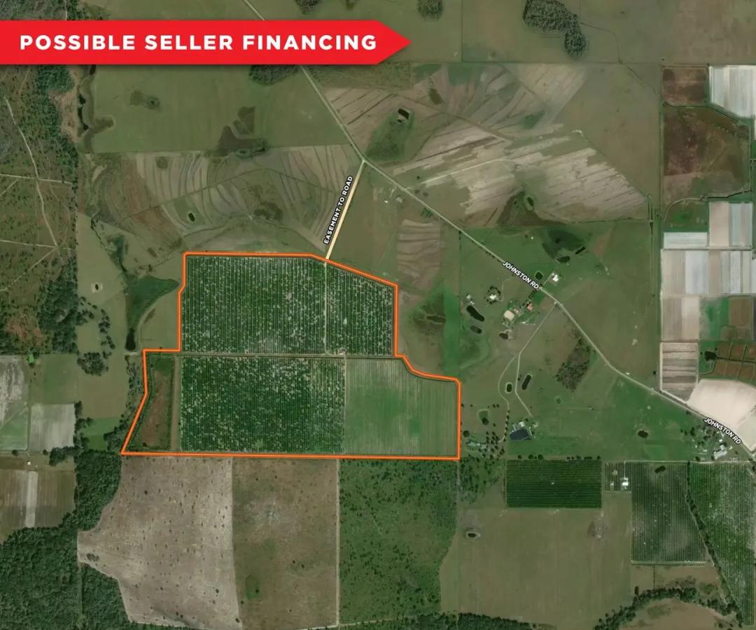 213 Acre Van Adams Grove - Hardee County