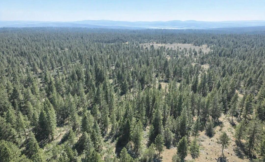 4.65 Acres, Klamath, Oregon R395664, R395673