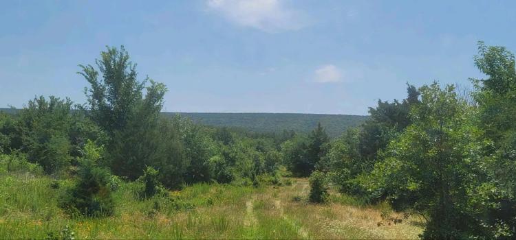 JOSLIN VALLEY Tract E
