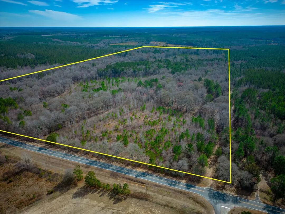 107 Acres - Eastman Dublin Hwy - Laurens County