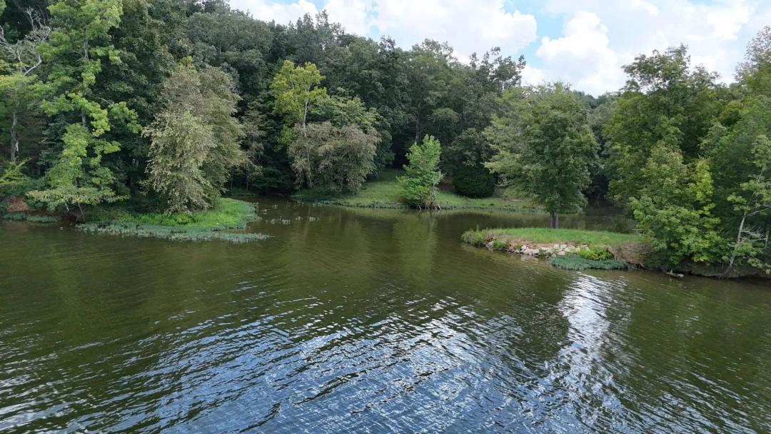 Coosa River Tract 31.80 +/- Acres