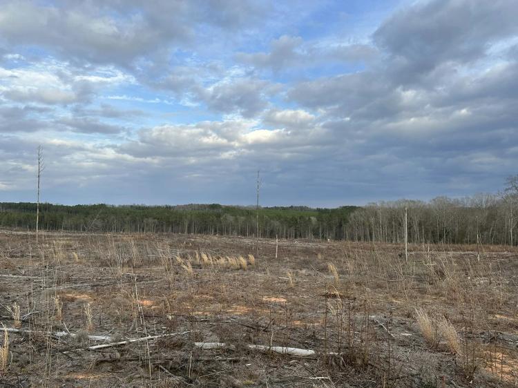 Commercial Site in Growing Area