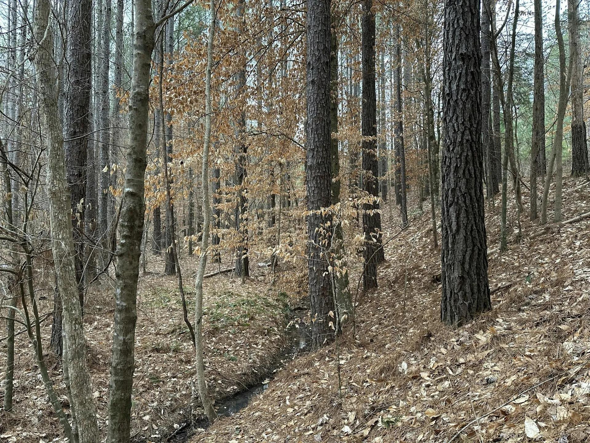 45057737-8
