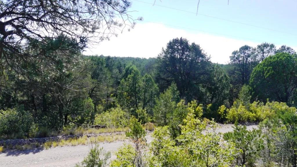 Timberon Residential Building Lot 1 acre Trees - Huge Southerly Views - Water Meter Installed
