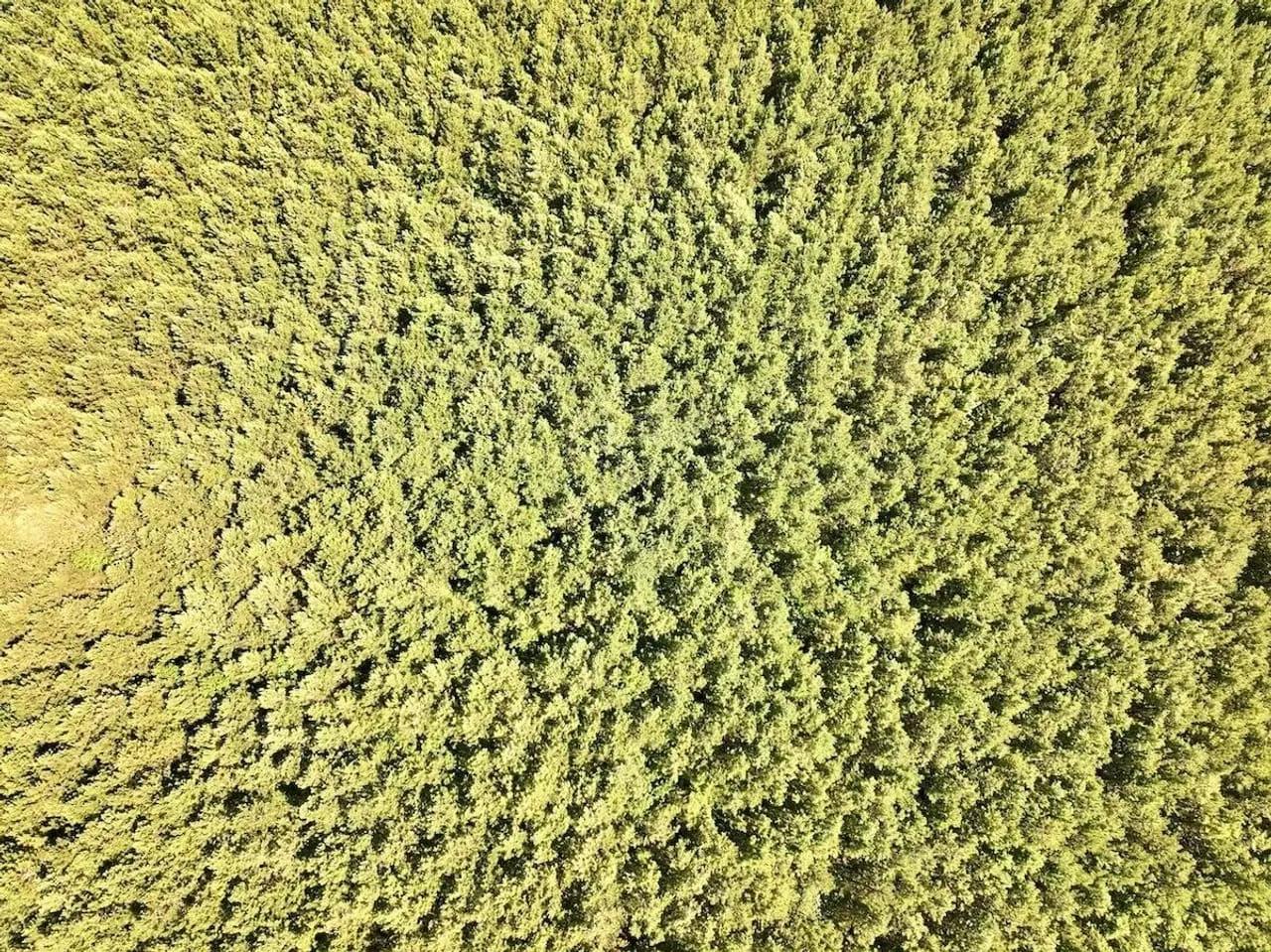 45084804-18