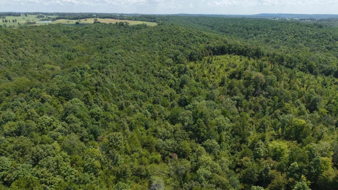 34.29 Acres in Sevier County, AR 