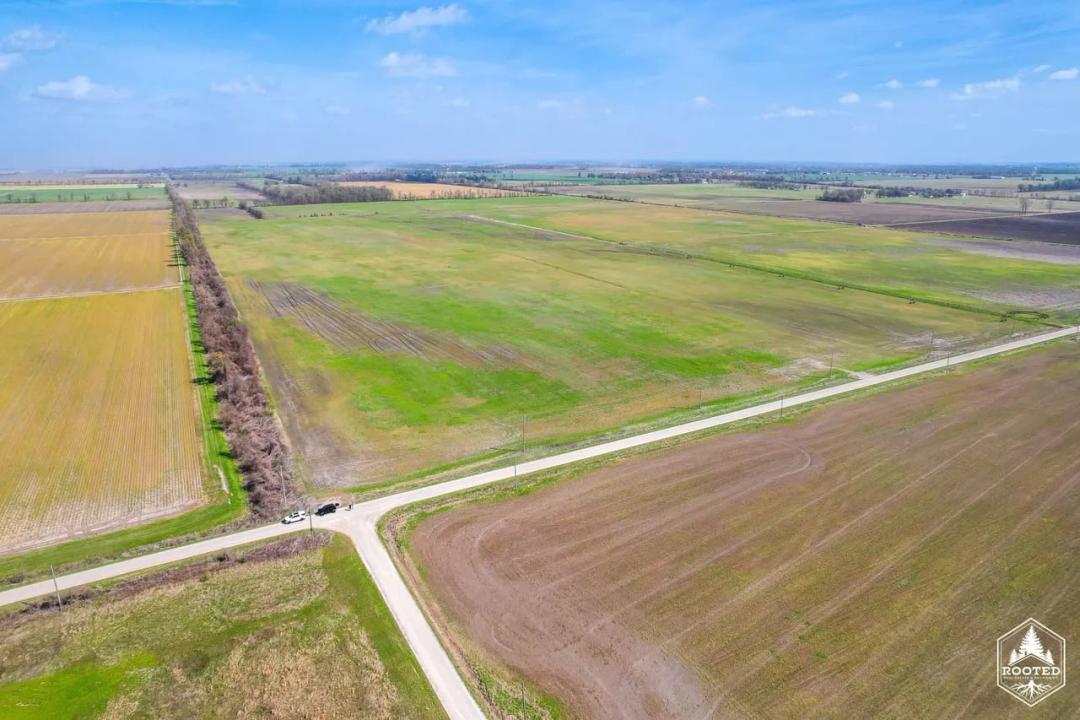 Tract 2 CR 706, East Prairie, MO-New Madrid/Mississippi CO 160+/- Acres