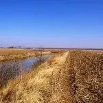 100 ± Acres Mississippi River Bottom Farm, Elsberry, Lincoln County, MO