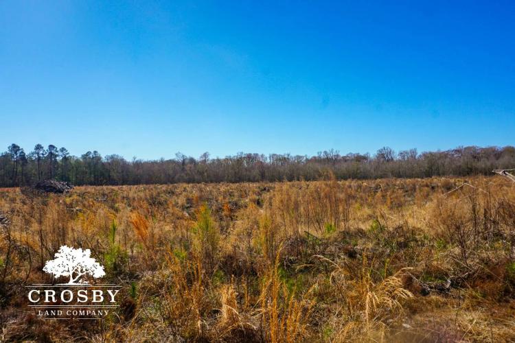 205.00 Acres at 64 Bells Highway