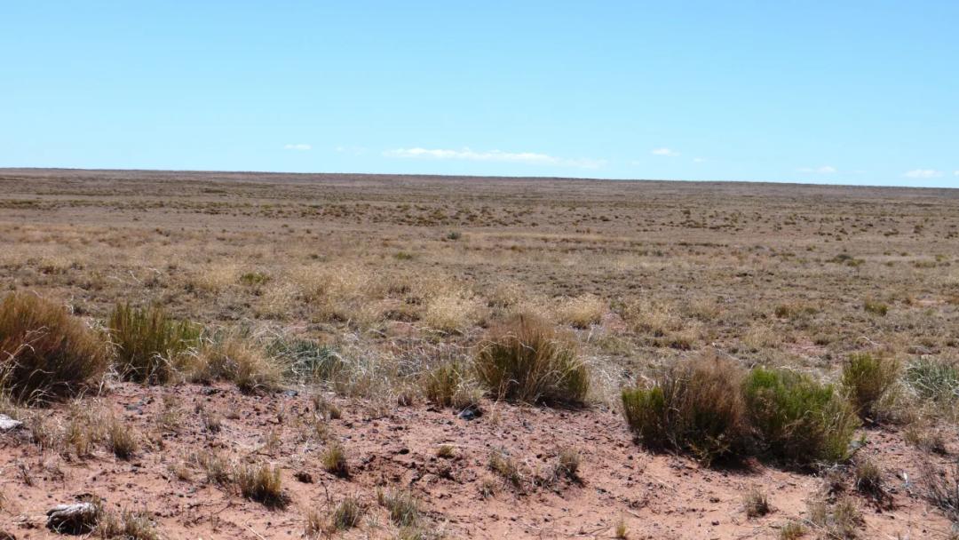 2 adjoining lots = 2.5 acres Sun Valley Arizona. No restrictions