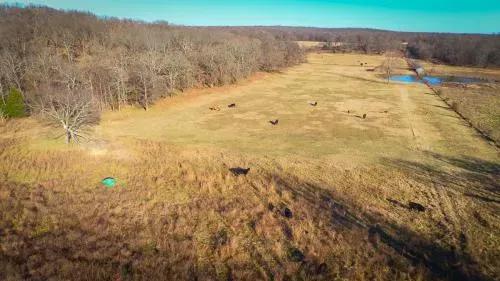 43795-acres-of-hunting-l-2
