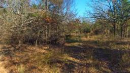 43795-acres-of-hunting-l-4